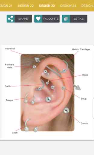 Ear Piercing Ideas 3