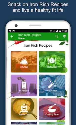 Iron Rich Food Recipes Offline: Healthy & Nutrient 2