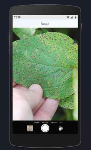 LeafSpot - Plant Identification 3