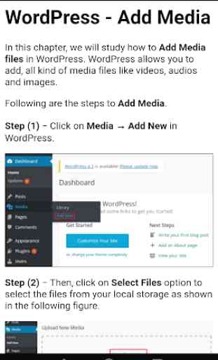 Learn Wordpress - Create your own website 3