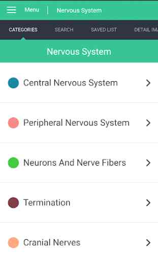 Nervous System Reference Guide 4