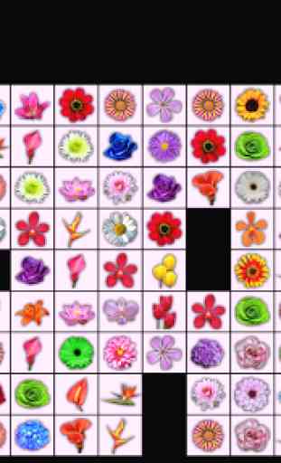 Onet Connect Flowers 2