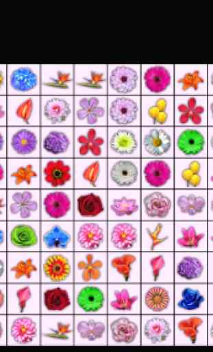 Onet Connect Flowers 3
