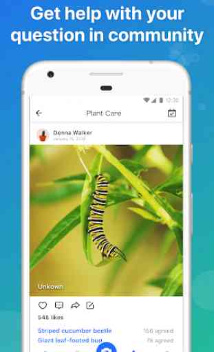 Picture Insect - Insect Id Pro 4
