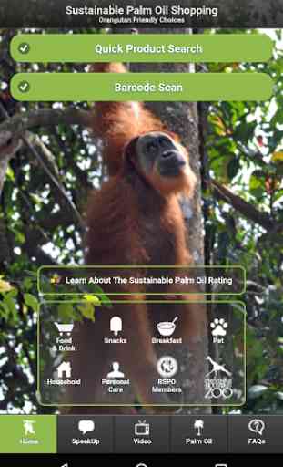 Sustainable Palm Oil Shopping 2