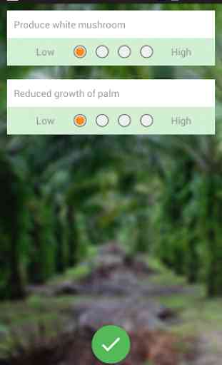 Oil Palm Diagnosis 3