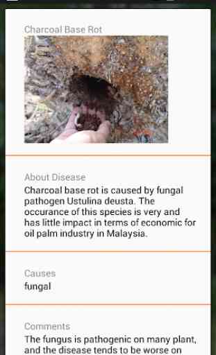 Oil Palm Diagnosis 4
