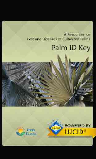 Palm ID Key 1