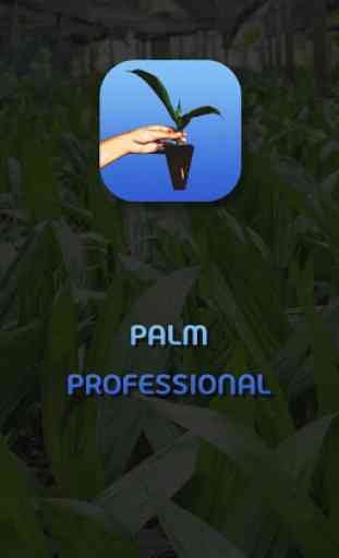 Palm Professional 1