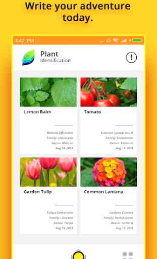 Plant Identifier 3