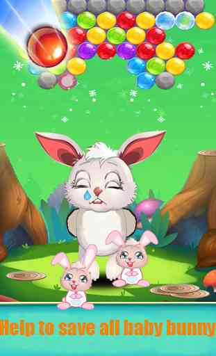Rabbit Bunny Bubble Pop 4