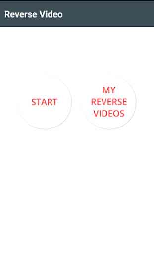 Reverse Video - it's magic 2