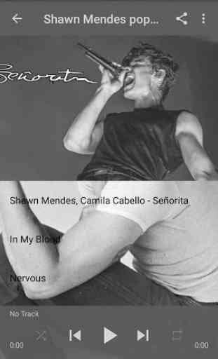 Shawn Mendes - Senorita 2