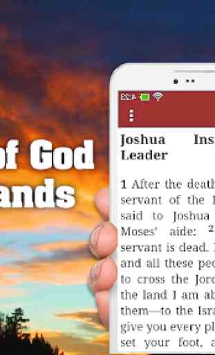Bible (MSG) The Message English Free 1