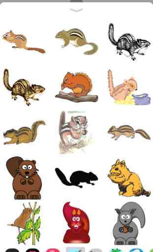 Chipmunk & Squirrel Stickers 1