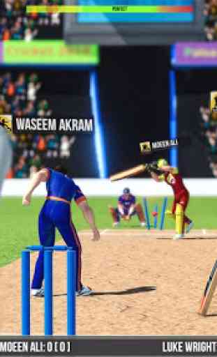Cricket Game 2019: Play Live Cricket Match 1