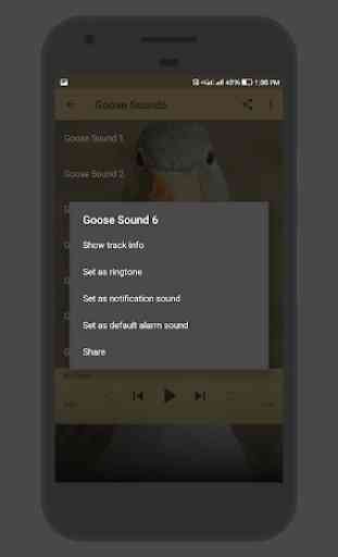 Goose Sounds 3