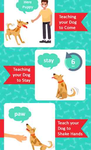 My Dog Training App - 30 Days Puppy Training 3