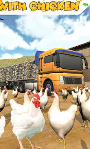 Poultry Farming  Transport Truck Driver 19 4