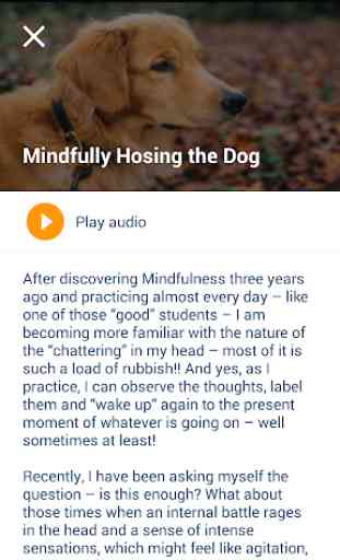 Present Mind - Mindfulness 3