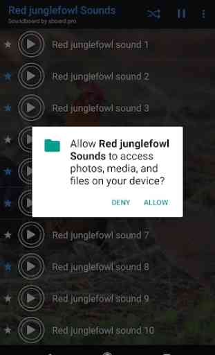 Red junglefowl Sounds ~ Sboard.pro 3