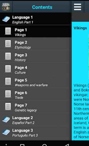 Vikings History 1
