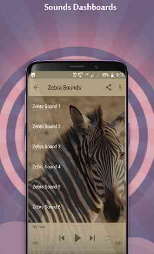 Zebra Sounds 4