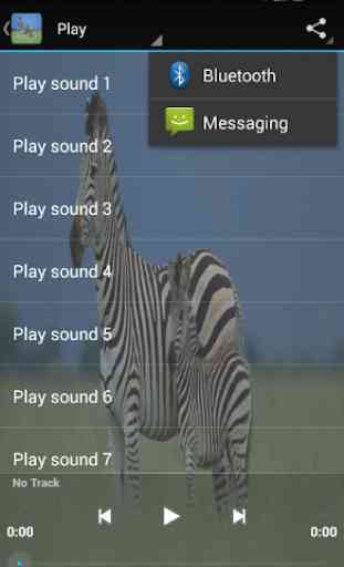 Zebra sounds 3