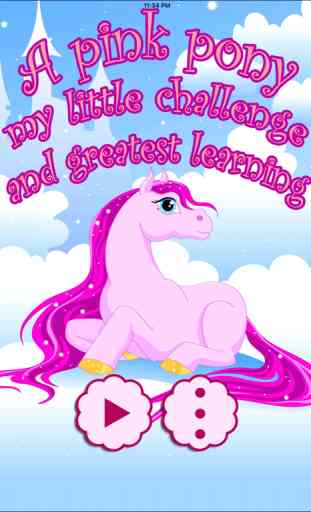 A Pink Pony:Little Challange and Greatest Learning 4