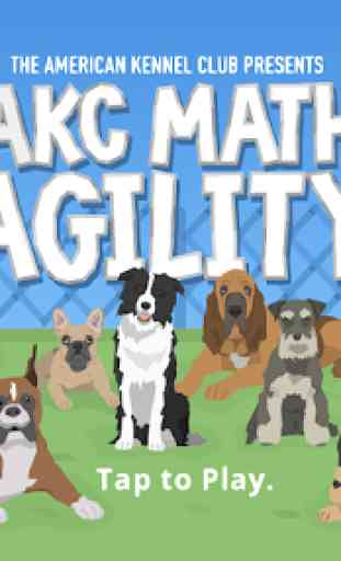 AKC Math Agility 1