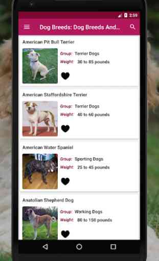 Dog Breeds Encyclopedia: Dog Breeds App 2
