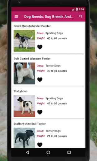 Dog Breeds Encyclopedia: Dog Breeds App 3
