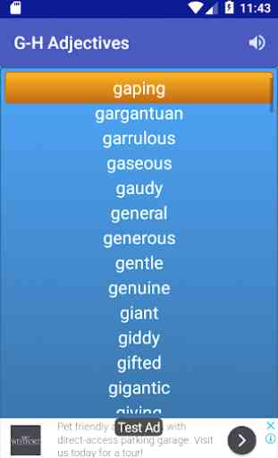English Adjectives 3