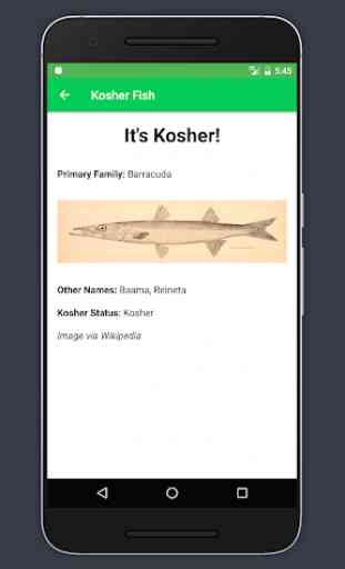 Kosher Fish 2