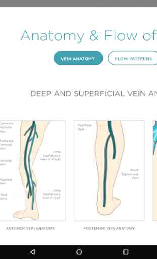 The Ultimate Vein Guide 3