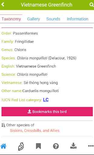 Vietnam Birds 3