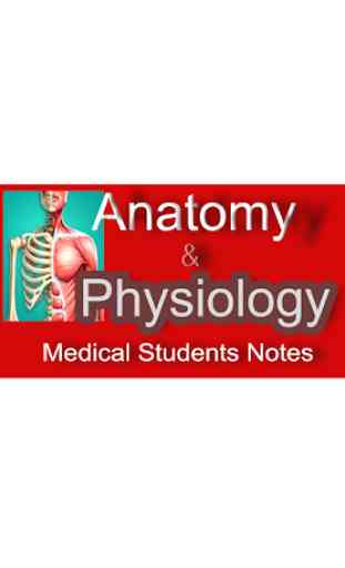 Anatomy and Physiology Notes 1