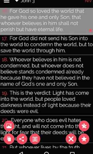 Bible Salvation Jn316 4