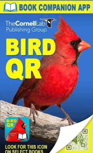 Bird QR 1