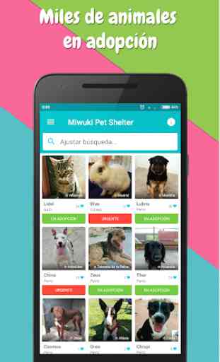 Miwuki Pet Shelter - Adopt a dog cat kitten puppy 1