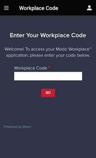 Modo Workplace 2
