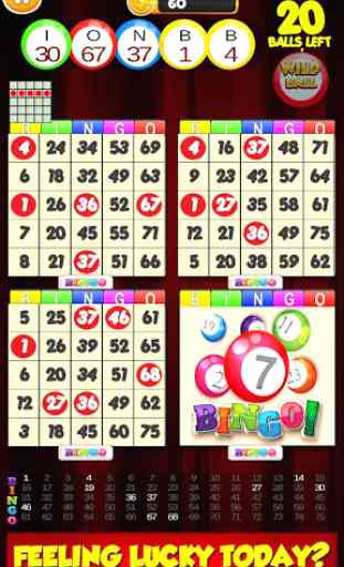 New Bingo Cards Game Free 1