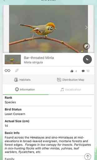 Vannya - Your Digital Bird Guide 1