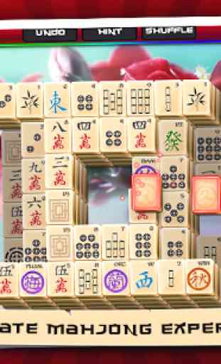 1001 Ultimate Mahjong ™ 4
