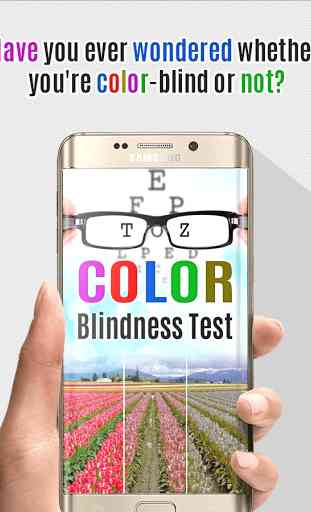 Color Blind Test: Eye Color Vision Test 1