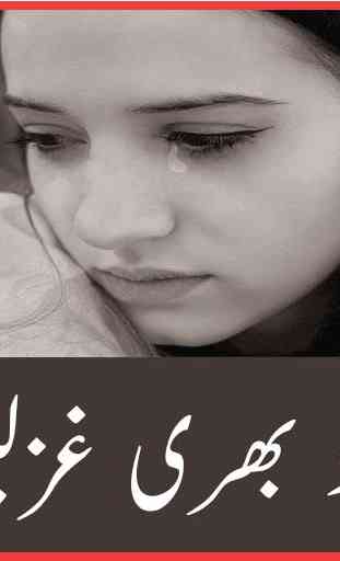 Ghazal Book Urdu 1