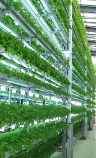 Hydroponic Planting System Ideas 1