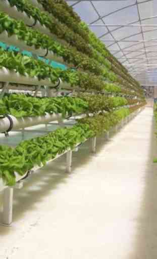 Hydroponic Planting System Ideas 3