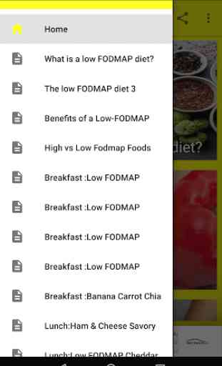 Low FODMAP Diet Recipes 1