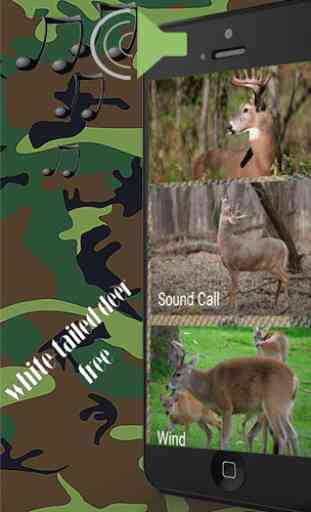 Whitetail deer calls sounds 4
